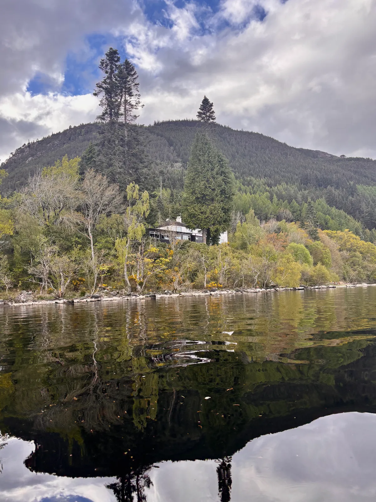Wooded lochside scenery reflected in the still water of Loch Ness near the Lochside Hostel